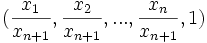 ({x_1\over x_{n+1}}, {x_2 \over x_{n+1}}, ..., {x_n \over x_{n+1}} , 1)\,