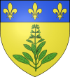 Blason ville fr Sauveterre-de-Rouergue (Aveyron).svg