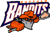 Buffalo bandits logo.gif