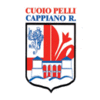 Logo du Cuoiopelli Cappiano Romaiano