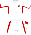 Czech Republic away kit 2008.svg