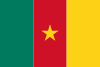 Drapeau : Cameroun