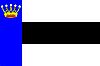 Flag of Heerenveen.jpg