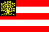 Flag of Hertogenbosch.png