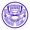 Goiatuba Esporte Clube.gif