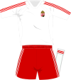 Hungary away kit 2008.svg
