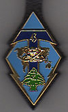 Insigne régimentaire du 43e Bataillon de Transmissions.jpg