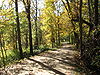 Ohio and Erie Canal Towpath Trail Section in October.JPG