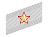 Rank insignia of colonnello con funzioni superiori of the Alpini.svg