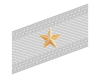 Rank insignia of colonnello con incarichi superiori of the Alpini.svg