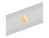 Rank insignia of generale di brigata of the Alpini.svg