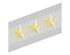 Rank insignia of generale di corpo d'armata of the Alpini.svg