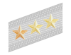 Rank insignia of generale di divisione con incarichi superiori of the Alpini.svg