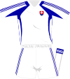 Slovakia away kit 2008.svg
