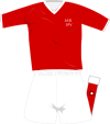 Switzerland home kit 2008.svg