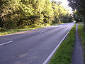 A35 in the New Forest.jpg