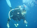 Plongeur sous-marin