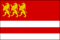 Flag of Marneuli.svg