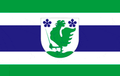 Flag of Polva.png
