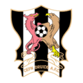 Logo du Cefn Druids FC