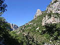 Gorges du Verdon from Hiking Trail 0451.jpg