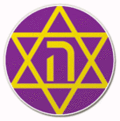 Logo du Hakoah Amidar Ramat Gan