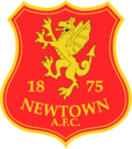 Logo du Newtown AFC