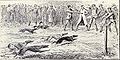 Old-time whippet race from 1915.JPG