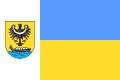 POL Nowa Sól flag.svg