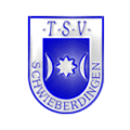 Logo du TSV Schwieberdingen