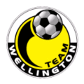 Logo du Team Wellington