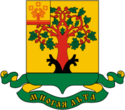 Coat of Arms of Tsivilsk (Chuvashia).png