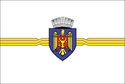 Flagge-Chisinau-01-11 (Flagge).png