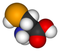 Selenocysteine-3D-vdW.png