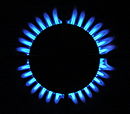 Gas stove blue flames.jpg