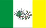 Bandeira Municipio Picui.jpg