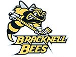 Accéder aux informations sur cette image nommée Bracknell Bees logo.jpg.