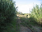 Chemins de fer de l'Hérault - Cazouls voie d'origine vers Réals.jpg