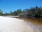 FL Blackwater River SP01.jpg