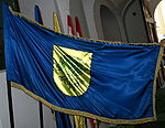 Flag of Vidovec.jpg