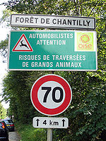 Panneau de signalisation routière comportant les mentions : Forêt de Chantilly, Automobilistes, attention, risques de traversées de grands animaux