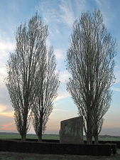 La « pierre Brunehaut » (2500 av. J.-C.) à Hollain