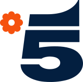 Canale 5 logo.svg