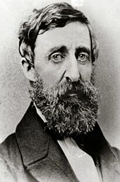 Ambrotype d'E. S. Dunshee réalisé en août 1861 d'Henry David Thoreau à la fin de sa vie.