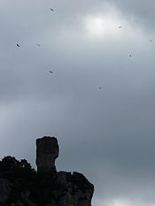 Belevedere des vautours (cevennes).JPG