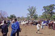 Image illustrative de l'article Économie du Mali