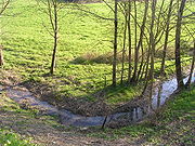 Photo de l’Antenne près de sa source à Fontaine-Chalendray. La rivière mesure moins d’un mètre de large.