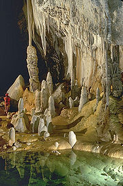 Lechuguilla Cave Pearlsian Gulf.jpg