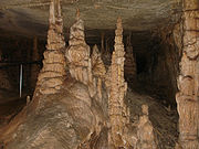 Mammoth Cave National Park 005.jpg