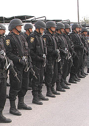 Mexican PFP police.jpg